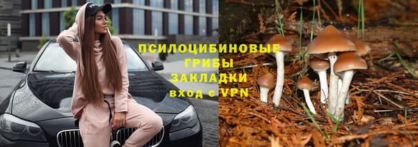 экстази Болотное