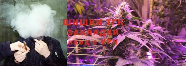 бошки Новозыбков