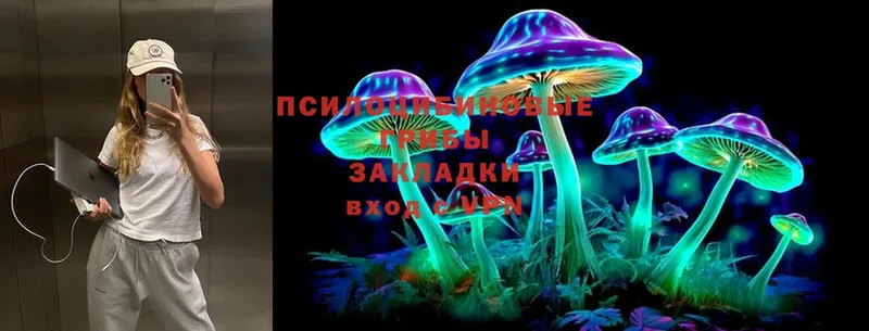 MEGA вход  Новоалтайск  Псилоцибиновые грибы MAGIC MUSHROOMS 