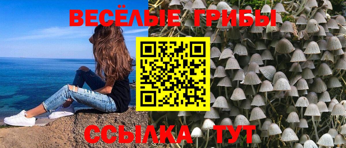 Галлюциногенные грибы Magic Shrooms Новоалтайск